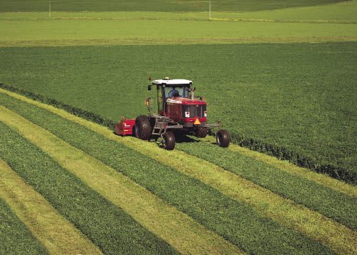 Forage and hay production